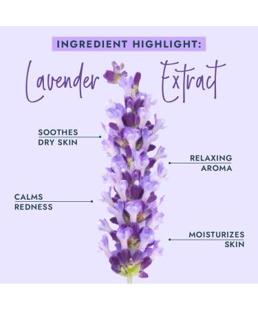 VOESH VOESH VELVET LUXE VEGAN LOTION - Lavande Relieve 8 5 oz 1 carat - Buy Online on GoSupps.com