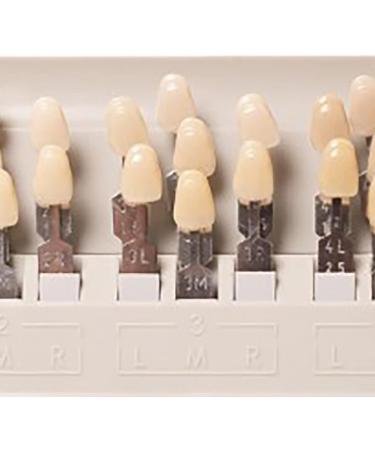 29 Colors Teeth Whitening Shade Guide and Chart - Individual Removable Tooth Bleaching Comparison - Buy Online on GoSupps.com