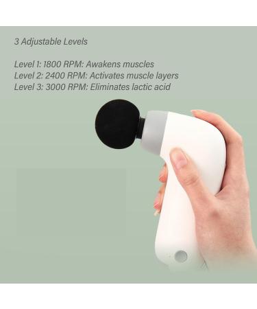 Mini Massage Gun for Deep Tissue Relief | Super Quiet & Compact | 3 Levels of Percussion | Effective Muscle Recovery - Buy Online on GoSupps.com