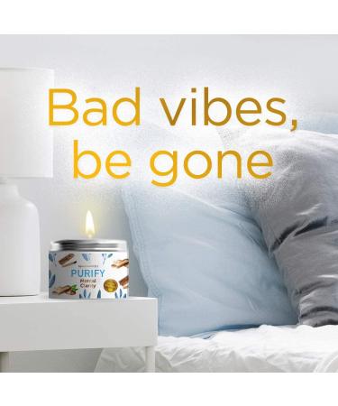 MAGNIFICENT 101 PURIFY Aromatherapy Candle - Sage, Palo Santo, Sandalwood, Lavender Scented Soy Candle for Purification and Chakra Healing - Buy Online on GoSupps.com