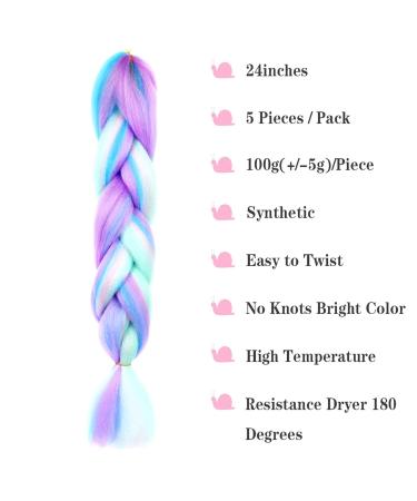 LDMY 24 Jumbo Braids Hair Extensions - Multi-Color Kanekalon Synthetic Hair for Women - 6PCs Pack in Pink Purple Blue Green - 100g/PC - Buy Online on GoSupps.com