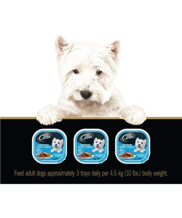 CESAR Adult Wet Dog Food Classic Loaf in Sauce Entr es - Lamb 100g Tray (24 Pack) Lamb 100 g (Pack of 24) - Buy Online on GoSupps.com