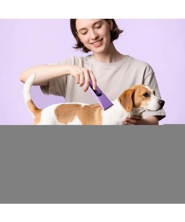 Electric trimmer for body hair multifunction trimmer portable for legs beard face arms intimate area - Buy Online on GoSupps.com