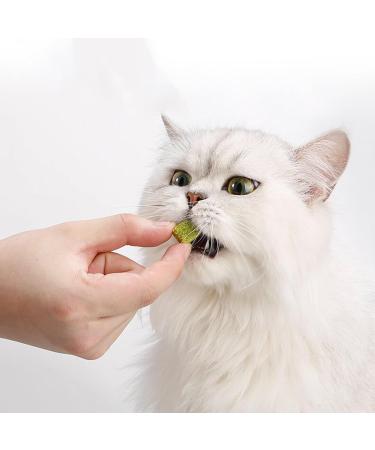 Keep Your Cat Happy and Healthy with Cat Grass Chewables Wheatgrass for Natural Hairball Excretion Wheatgrass 50g Cat Hairball Removal - Buy Online on GoSupps.com