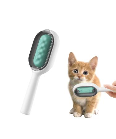 1PCS Cat Brush With Water Tank Cat Grooming Brush Or Dogs And Cats Portable Professional Cat Brushes For Grooming And Cleaning