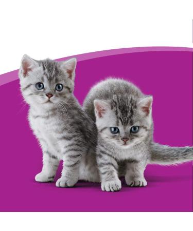 Whiskas 2-12 Month Kitten Milky Treats 55 g (Pack of 8) Milky Treats 55 g (Pack of 8) - Buy Online on GoSupps.com
