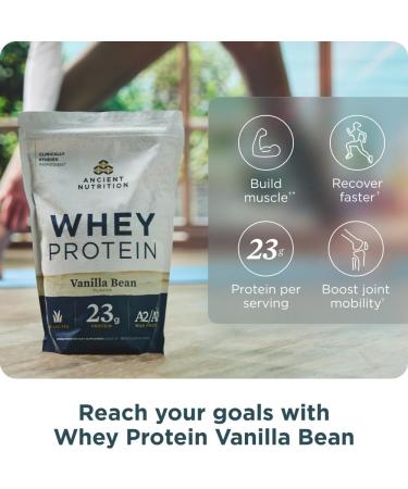 Ancient Nutrition Grass-fed Whey Protein Powder Vanilla Bean 35 Servings + Grass-fed Whey Protein Powder Milk Chocolate 20 Servings - Buy Online on GoSupps.com