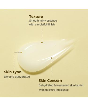 Torriden SOLID-IN Ceramide Essence 100ml - Deeply Hydrating Facial Serum with 5 Ceramides & Panthenol for Dry Sensitive Skin | International Shipping Available - Buy Online on GoSupps.com