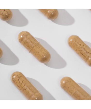 High-Dose Olive Leaf Extract Capsules - 120 Vegan Capsules - 750mg Daily - 300mg Oleuropein - 2-Month Supply - Buy Online on GoSupps.com