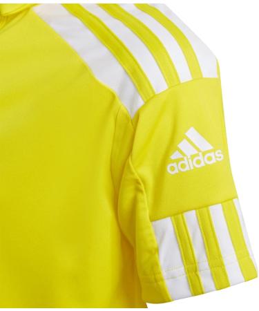Adidas Unisex Squadra 21 Polo - Buy Online | International Shipping Available - Buy Online on GoSupps.com