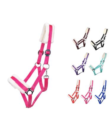 NETPROSHOP Solid horse halter padded and adjustable size Mini Shetty to Full and Coldblood Size: Pony Color: Pink Pink Pony