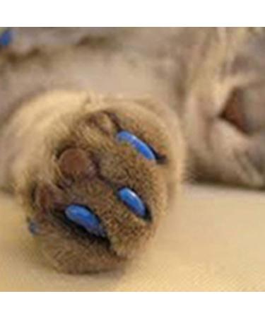 Pet Claw Protectors for Cats - Scratch Resistant XL Lemon Yellow 20 Pack - Shop Internationally - Buy Online on GoSupps.com