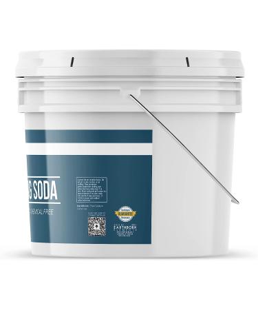 Earthborn Elements Washing Soda 1 Gallon - Non-Toxic Laundry Booster - Sodium Carbonate - Soda Ash - 9lb Pack of 1 - Buy Online on GoSupps.com