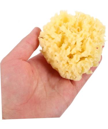 Gogogmee Moisturizer Natural Sponges for Bathing Natural Bath Sponge Sea Sponges for Shower Body Sponges Sponge for Shower Bathing Sponge Natural Sponges for Body Shower Sponge - Buy Online on GoSupps.com