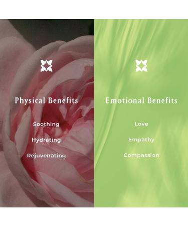 INNA Organic Sheet Mask Set Anti-Aging & Hydrating EWG & COSMOS Certified (Pack of 5) | First Pick Discovery Set | Luxury Clean Beauty - Buy Online on GoSupps.com