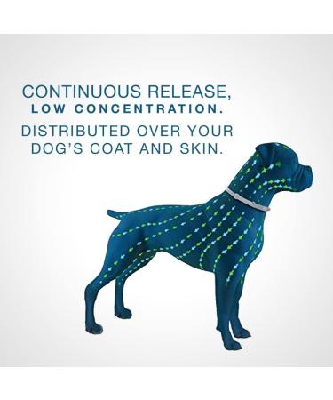 Seresto Flea and Tick Collar for Small Dogs (Up to 18 lbs) | 8-Month Protection | 1 Pack - Buy Online on GoSupps.com