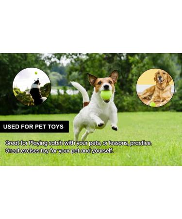 Soft Rubber Tennis Balls for Kids and Pets - Beginner Practice and Training Balls for Dogs and Sports - Set of 12 - Buy Online on GoSupps.com