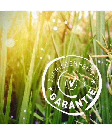 Biotiva Guarana Powder Organic - 250g Pure Guarana Powder - Energizer - Guaranteed Without additives - Made and Controlled in Germany (DE- KO-005) - 100% Vegan - Buy Online on GoSupps.com