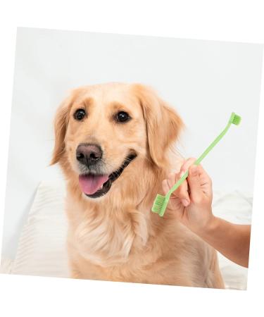 BESPORTBLE 1 Set Pet Toothbrush Dog Toothbrushes Dog Toothbrush and Toothpaste 360 Dog Toothbrush Tools Pp - Buy Online on GoSupps.com
