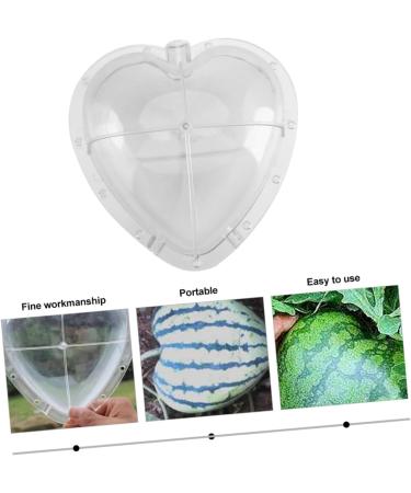 Gadpiparty Vegetables Fruit Growing Heart Mould Watermelon Grow Mold Cooking Utensils Modeling Ginseng Fruit 17x17cm Transparent - Buy Online on GoSupps.com