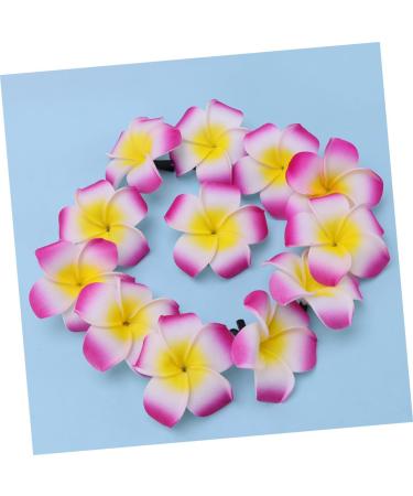 Angoily Hair Accessory for Girls Hair Clips for Girls Barrettes for Girls Hibiscus Flower Hair Clips Summer Hair Clips Accesorios Para Plumeria Hair Clip Hair Accessories The Flowers - Buy Online on GoSupps.com
