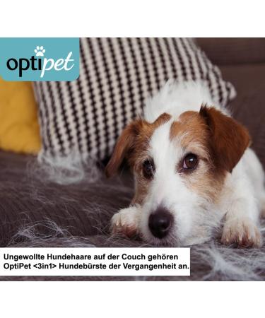 Optipet 3-in-1 Animal Brush for Dogs & Cats | Shorthair | Safe Massage Wet Use | Strengthens Fur & Removes Hair | Washable & Easy Care - Buy Online on GoSupps.com