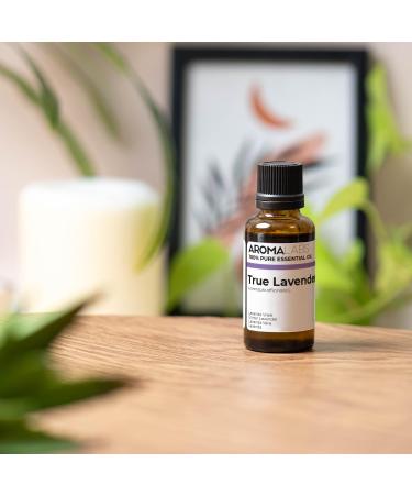Organic True Lavender Essential Oil 30ml - 100% Pure & Ecocert Certified - Best Therapeutic Grade | AROMA LABS - Buy Online on GoSupps.com