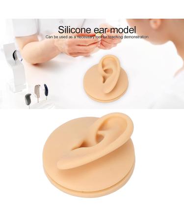 Soft Silicone Left Ear Simulation Model for Medical Teaching - Ideal for Hearing Aid Display - Buy Online on GoSupps.com