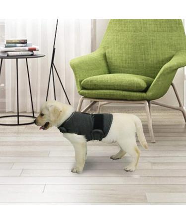 Kittystar Breathable Thunder Shirts for Dogs | Calming Coat for Anxiety Relief | Puppy Vest & Jacket in Gray - Buy Online on GoSupps.com