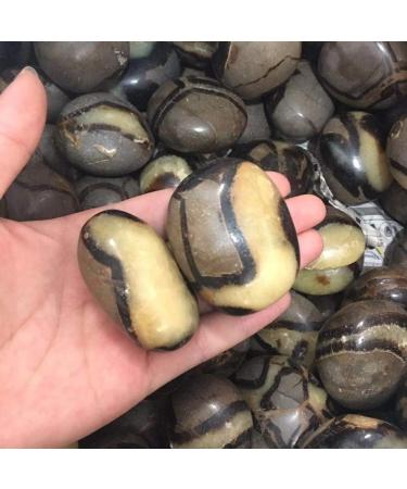 Crystal Natural Palm Stone Quartz Crystal Palm Stone Specimen - Buy Online on GoSupps.com