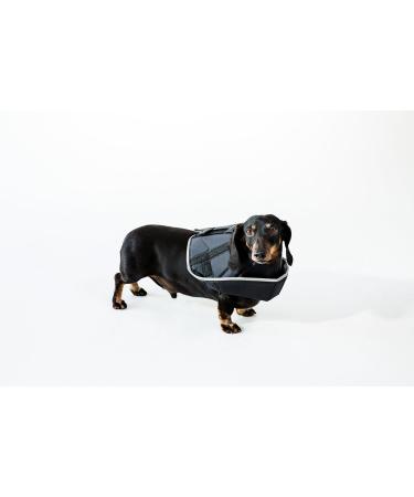 Shop All Four Paws Comfy Cone Pet Collar - Small Black | International Shipping Available - Buy Online on GoSupps.com