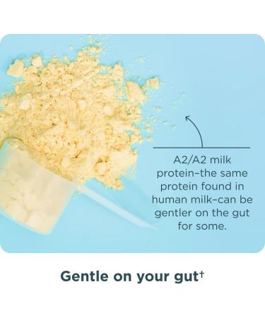 Ancient Nutrition Grass-Fed Whey Protein Powder Milk Chocolate 20 Servings + Grass-Fed Whey Protein Powder Vanilla Bean 20 Servings - Buy Online on GoSupps.com