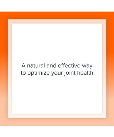 Natural Factors Glucosamine & Chondroitin 500mg400mg - Joint Support Supplement, 120 Capsules - Buy Online on GoSupps.com