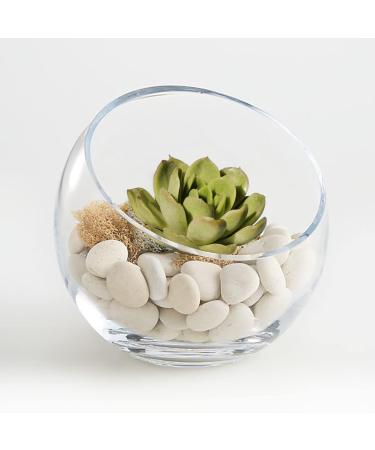 Dicunoy White Decorative Stones - 2.7kg Natural Polished Rocks for Plants Landscape Design Vase Filler Aquarium 2-5 cm - Buy Online on GoSupps.com