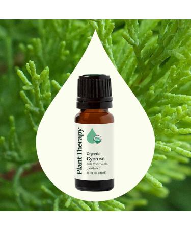 Plant Therapy Organic Cypress Essential Oil 10 mL (1/3 oz) 100% Pure Undiluted Natural Aromatherapy for Congestion Relief and Clear Skin - Buy Online on GoSupps.com