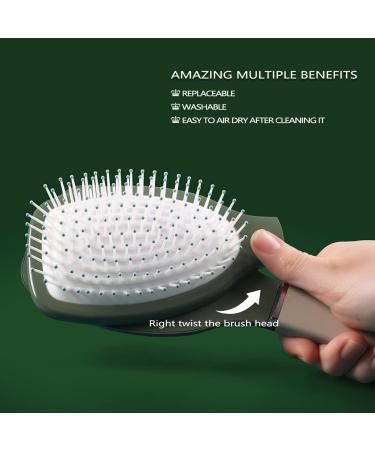Paddle Hair Brush Glide Thru Detangling Detangler Brush for Natural Curly Straight Wet or Dry Hair HairBrush for Adults & Kids Hair (GREEN) P-Green - Buy Online on GoSupps.com