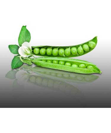 75 g Seeds to sow Le Grenier dAbondance Dwarf PEA Wonder of Kelvedon Pisum Sativum - Buy Online on GoSupps.com