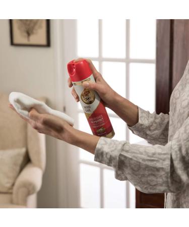 10oz Aerosol Wood Cleaner Preservative for Ultimate Protection - Buy Online on GoSupps.com