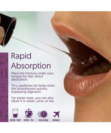 Sun God Medicinals Ra Herbals Organic Chaga Liquid Extract - Vitality Support - 1 fl oz - Buy Online on GoSupps.com