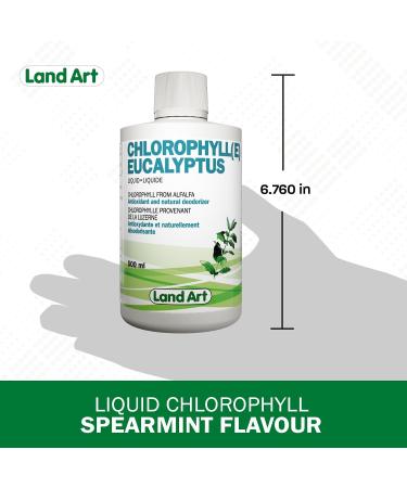 Liquid Chlorophyll Eucalyptus 500ml Cold Extracted from Non-GMO Alfalfa - Detox - Alkaline - Natural Body Deodorant Antioxidant - Made in Canada - Buy Online on GoSupps.com