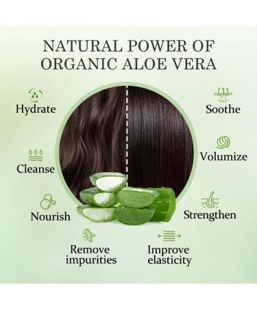 Aloderma Aloe Shower Set - Nourishing Body Wash Oil Controlling Shampoo Oil Controlling Facial Cleanser - Buy Online on GoSupps.com