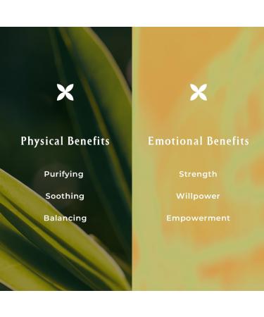 INNA Organic Sheet Mask Set Anti-Aging & Hydrating EWG & COSMOS Certified (Pack of 5) | First Pick Discovery Set | Luxury Clean Beauty - Buy Online on GoSupps.com