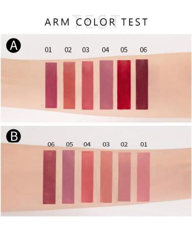 6-Piece Nude Matte Liquid Lipstick Set - Long-Lasting, Waterproof Lip Gloss Gift for Women (Set B) - Buy Online on GoSupps.com