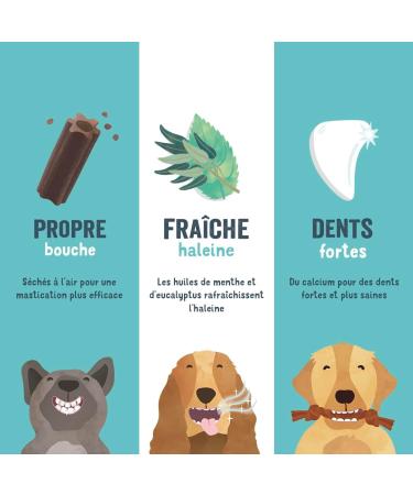 Edgard Cooper Dog Treats (Eucalyptus & Apple 7 Sticks x 8) Small One Per Day Low Calorie Long Lasting Chew Fresh Breath - Buy Online on GoSupps.com