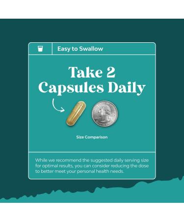 Bundle of Liver Support NAC - N Acetyl Cysteine with Antioxidants Turmeric Choline Dandelion & L-Glutathione and Chlorophyll Gummies - Internal Deodorizer for Body Odor Healthy Skin Digestive Support - Buy Online on GoSupps.com