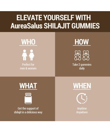 Shilajit Gummies 1400mg Shilajit Supplement with Chaga and Ashwagandha Original from Himalayan with Fulvic & Humic Acid and 85+ Minerals for Energy Immunity & Focus Sugar-Free 120 Gummies 60 count (Pack of 2) - Buy Online on GoSupps.com
