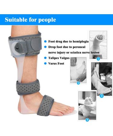 AFO Foot Drop Brace | Medical Ankle Foot Orthosis Support for Postural Correction (Left/M) - Buy Online on GoSupps.com