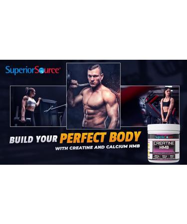 Superior Source Creatine Monohydrate 5g + HMB 3g & D3 1000IU | Muscle Growth Strength & Recovery - Non-GMO - International Shipping Available - Buy Online on GoSupps.com