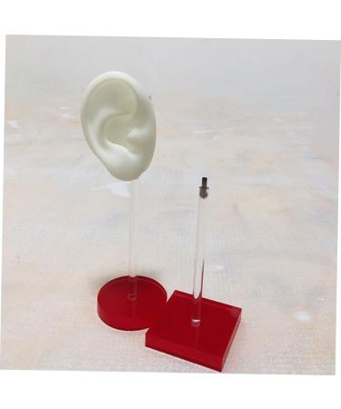 ULTECHNOVO 3 Pairs Soft Silicone Ear Models - Acupuncture & Jewelry Display Ear Mold Kit for Cleaning & Crafts - Buy Online on GoSupps.com