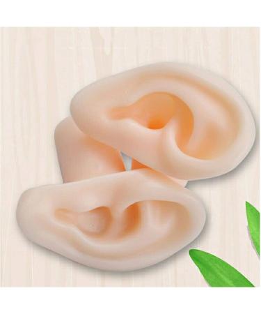 Soft Silicone Ear Model - Artificial Simulation Human Ear - Ear Acupuncture Point Model - for Acupuncture Studs Earring Earphone Bluetooth Headset Display Props - Buy Online on GoSupps.com